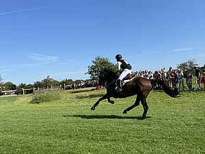 Agrandir l'image (fenêtre modale)