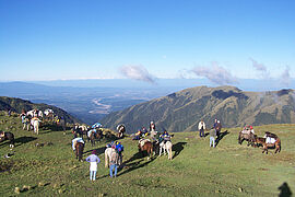 Province de Jujuy